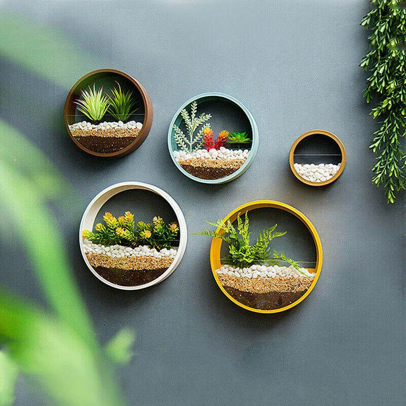 Succulent Plant Round Iron Wall Glasses Vase - TripleM Store