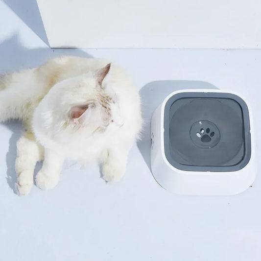 Splash Proof Pet Bowl-TripleMstore