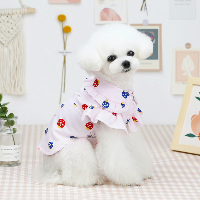 Best Clothes For Thin Small Pet - TripleM Store