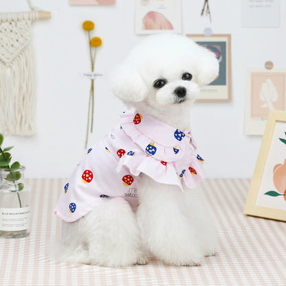 Best Clothes For Thin Small Pet - TripleM Store