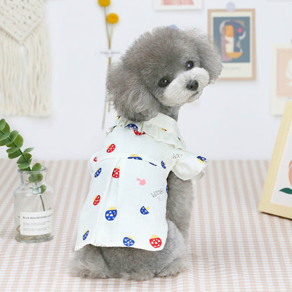 Best Clothes For Thin Small Pet - TripleM Store